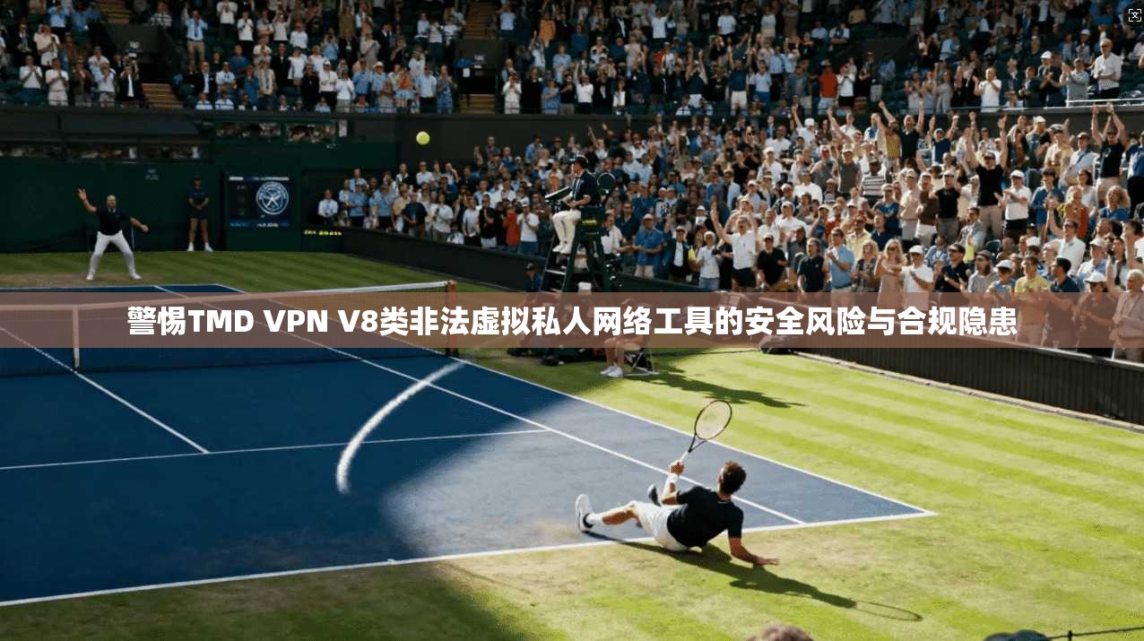 警惕TMD VPN V8类非法虚拟私人网络工具的安全风险与合规隐患