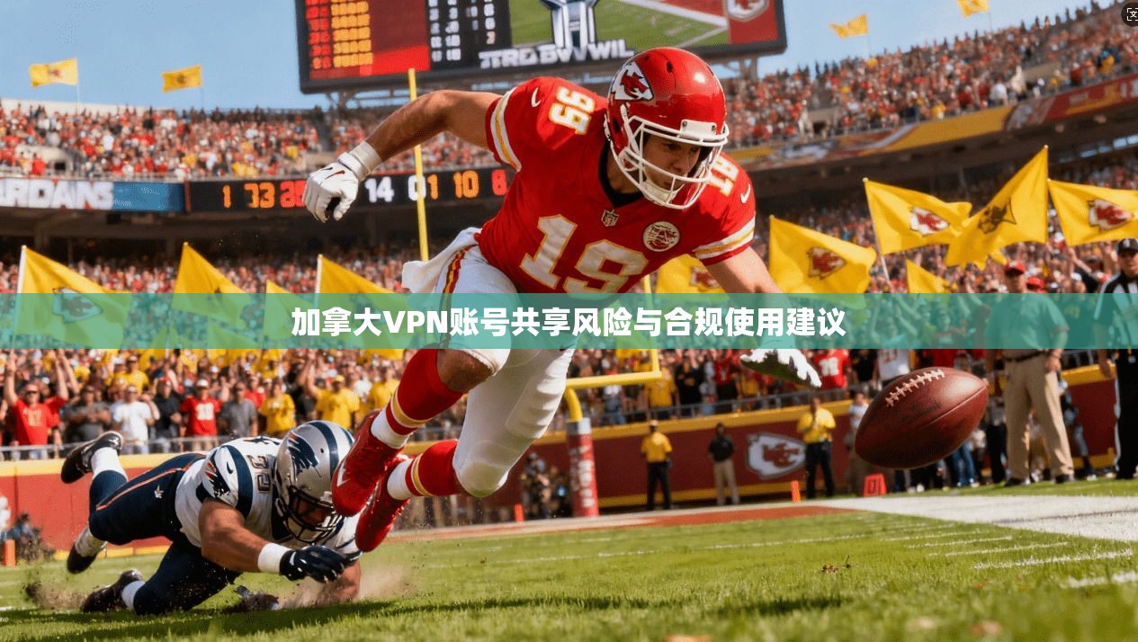 加拿大VPN账号共享风险与合规使用建议