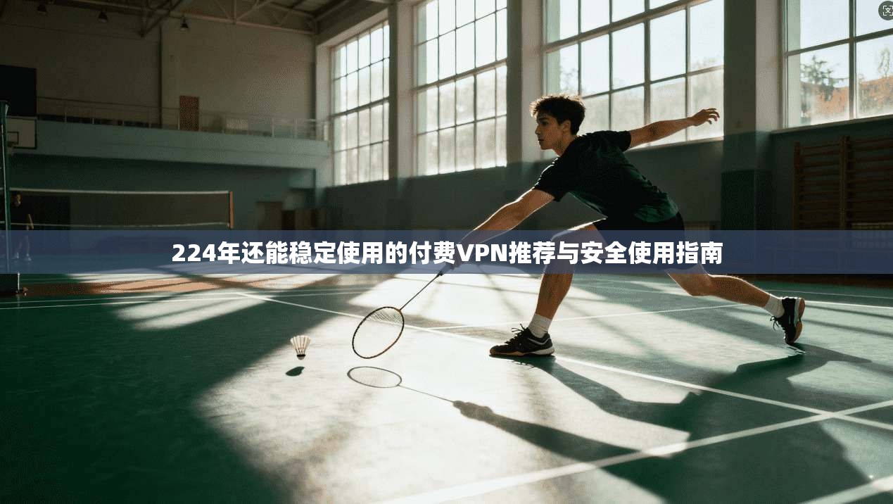 224年还能稳定使用的付费VPN推荐与安全使用指南