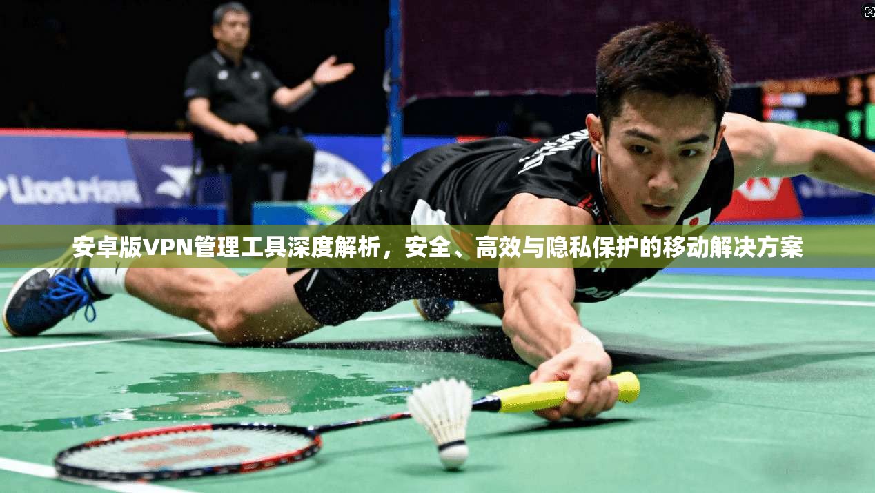 安卓版VPN管理工具深度解析,安全、高效与隐私保护的移动解决方案