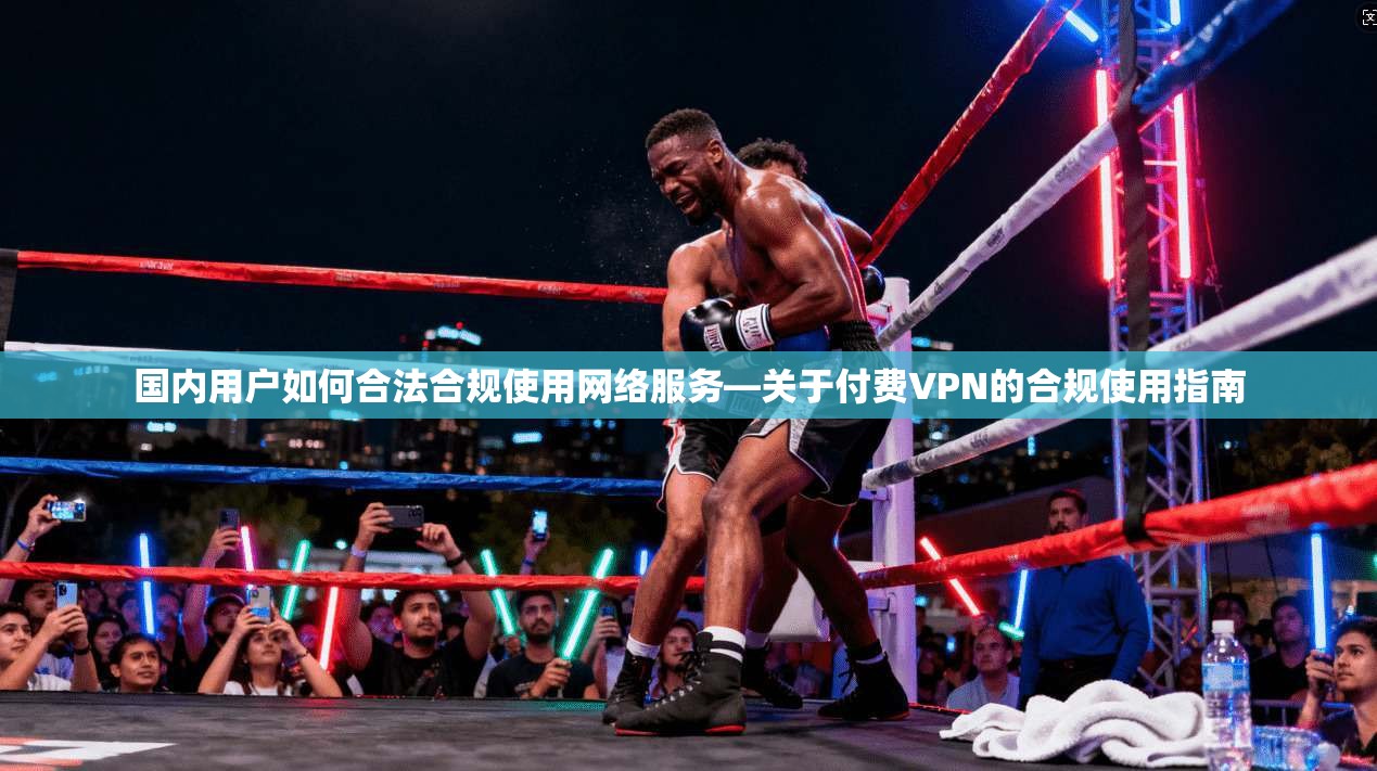 国内用户如何合法合规使用网络服务—关于付费VPN的合规使用指南