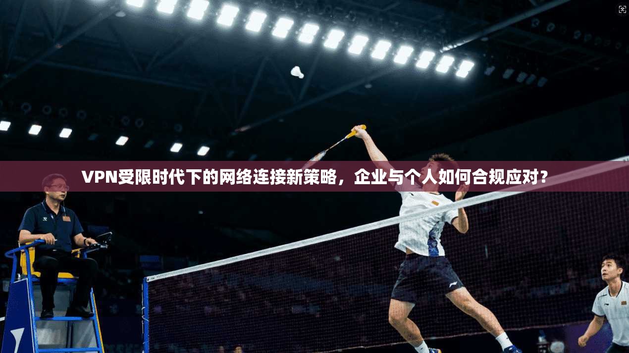 VPN受限时代下的网络连接新策略,企业与个人如何合规应对?