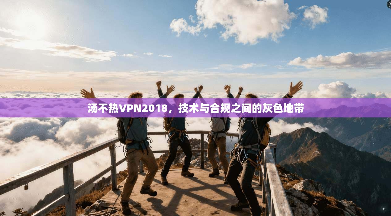 汤不热VPN2018，技术与合规之间的灰色地带
