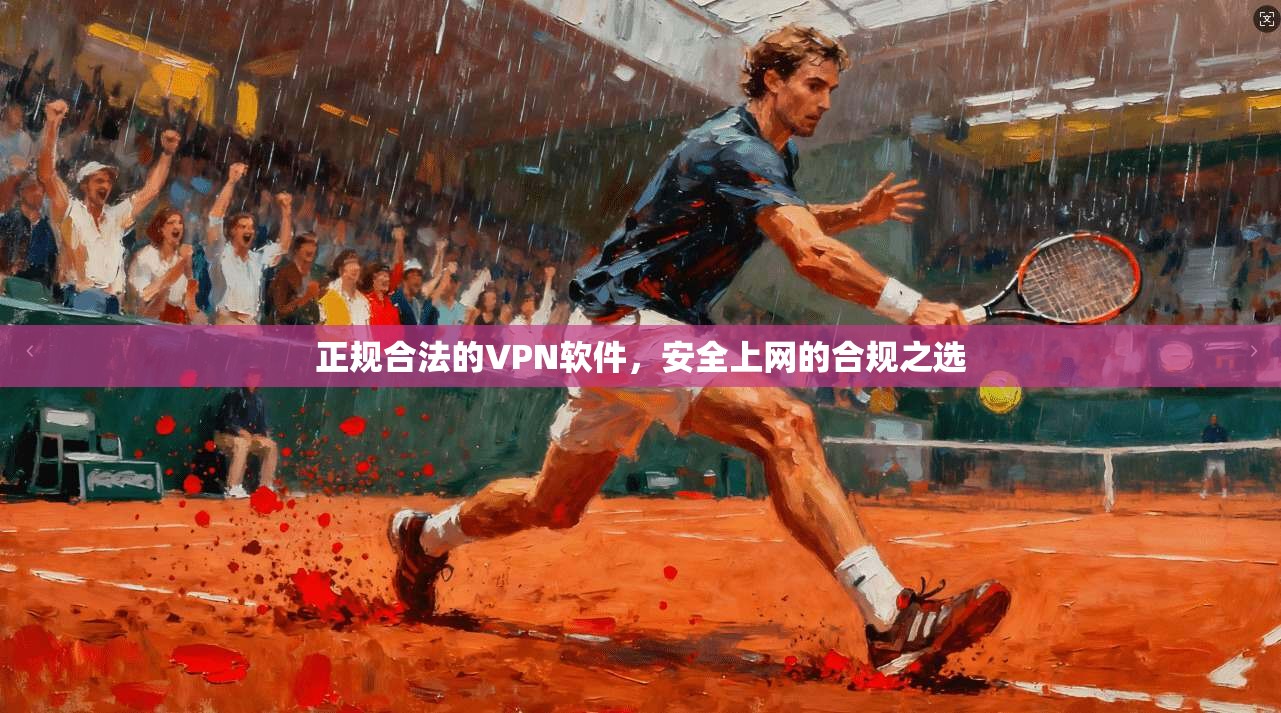 正规合法的VPN软件，安全上网的合规之选