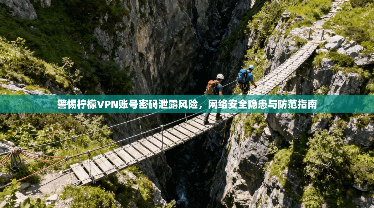 警惕柠檬VPN账号密码泄露风险，网络安全隐患与防范指南