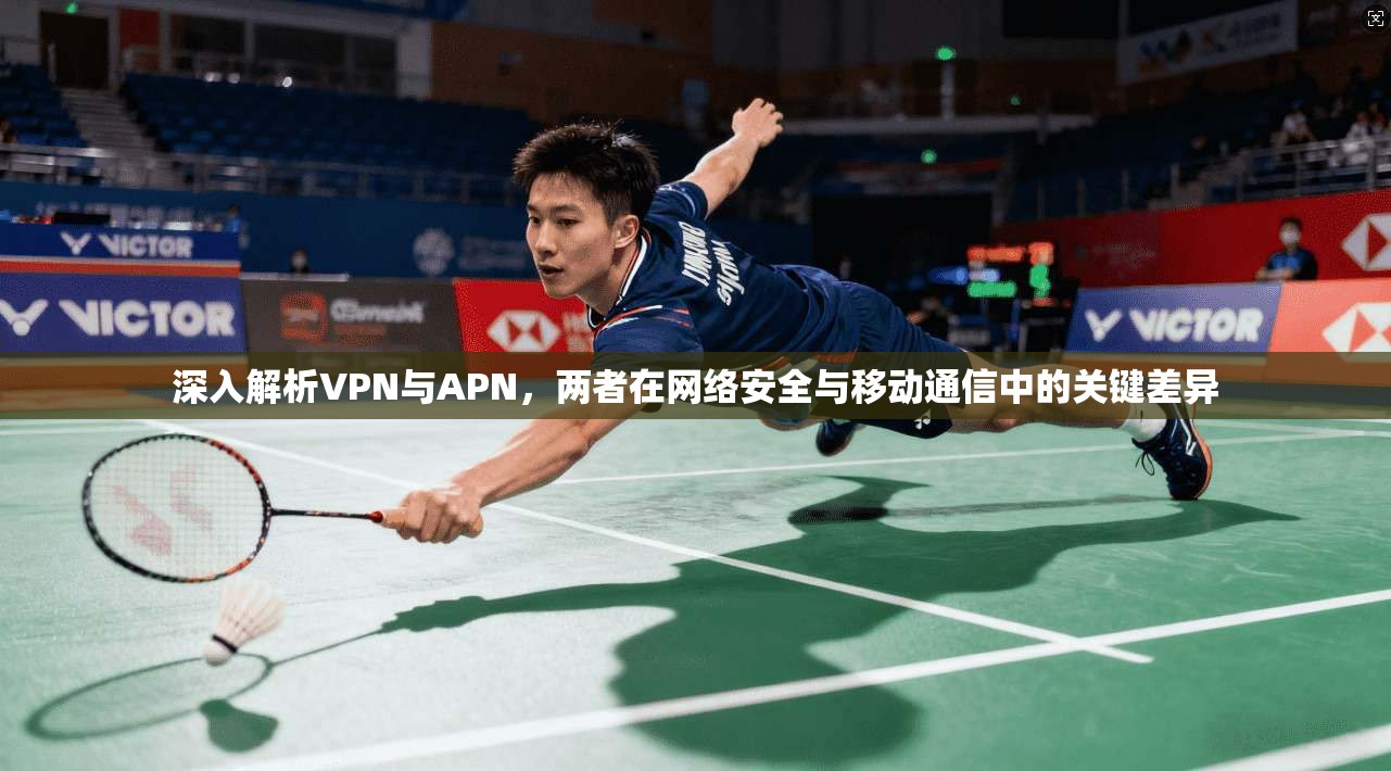 深入解析VPN与APN，两者在网络安全与移动通信中的关键差异