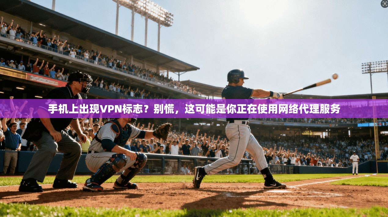 手机上出现VPN标志？别慌，这可能是你正在使用网络代理服务