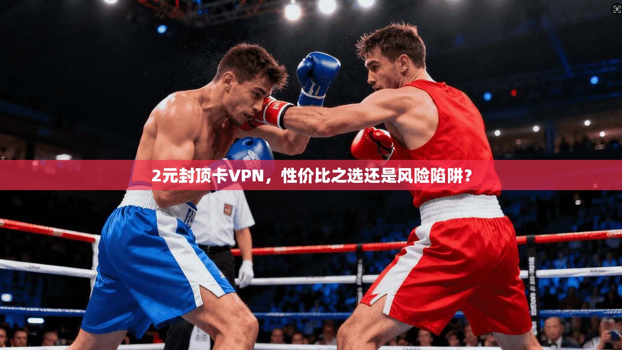 2元封顶卡VPN，性价比之选还是风险陷阱？
