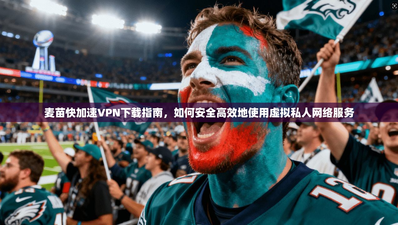 麦苗快加速VPN下载指南，如何安全高效地使用虚拟私人网络服务