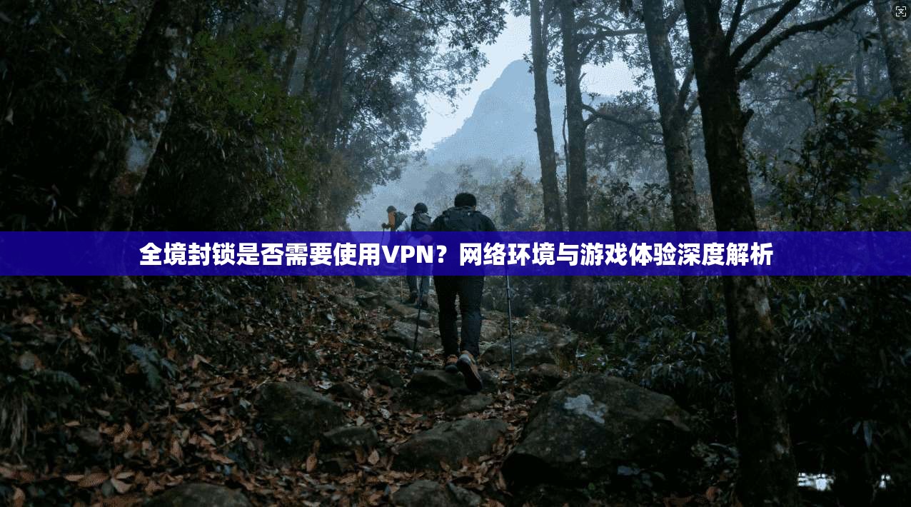 全境封锁是否需要使用VPN？网络环境与游戏体验深度解析