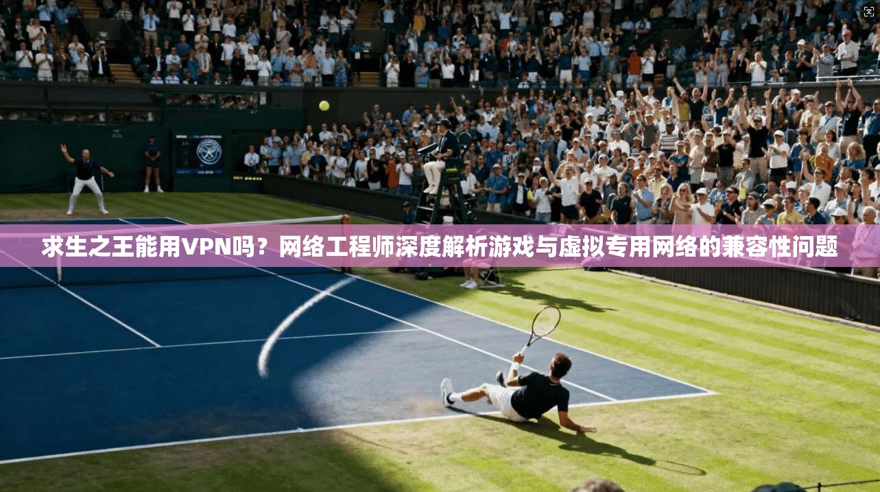 求生之王能用VPN吗？网络工程师深度解析游戏与虚拟专用网络的兼容性问题