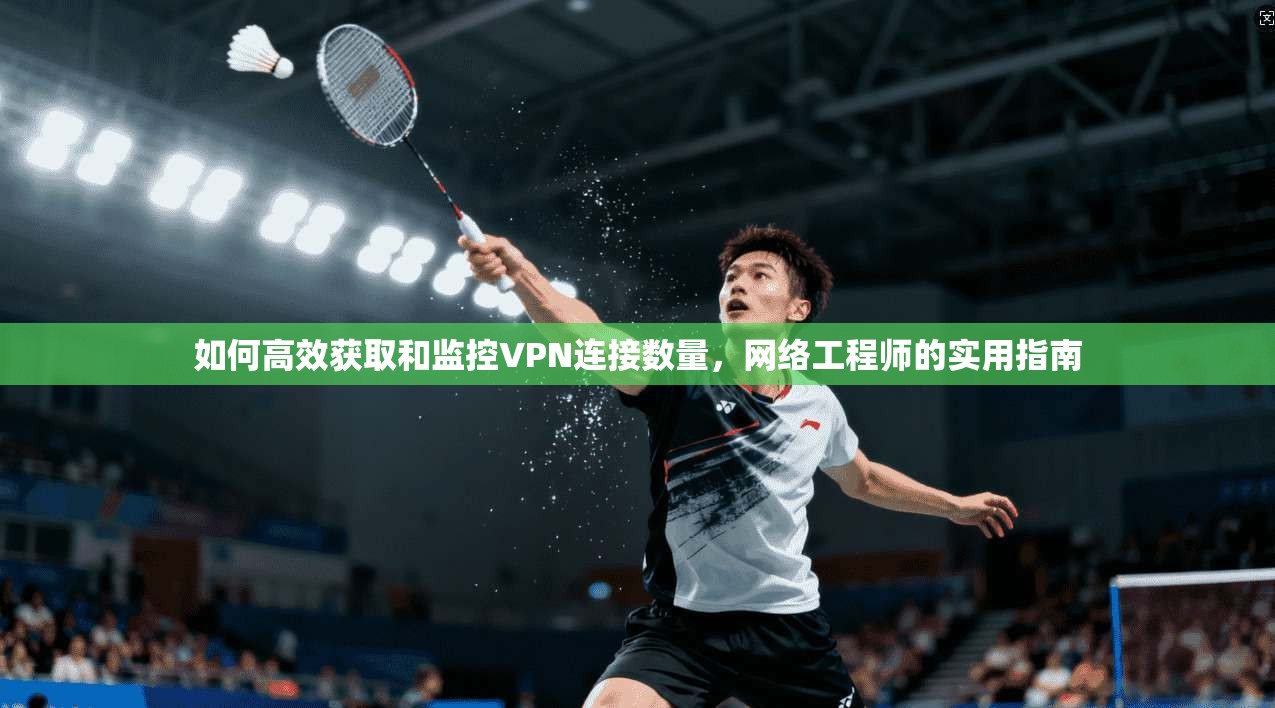 如何高效获取和监控VPN连接数量，网络工程师的实用指南