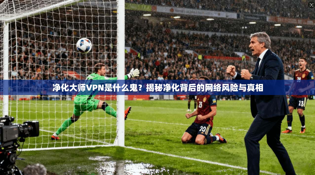 净化大师VPN是什么鬼？揭秘净化背后的网络风险与真相