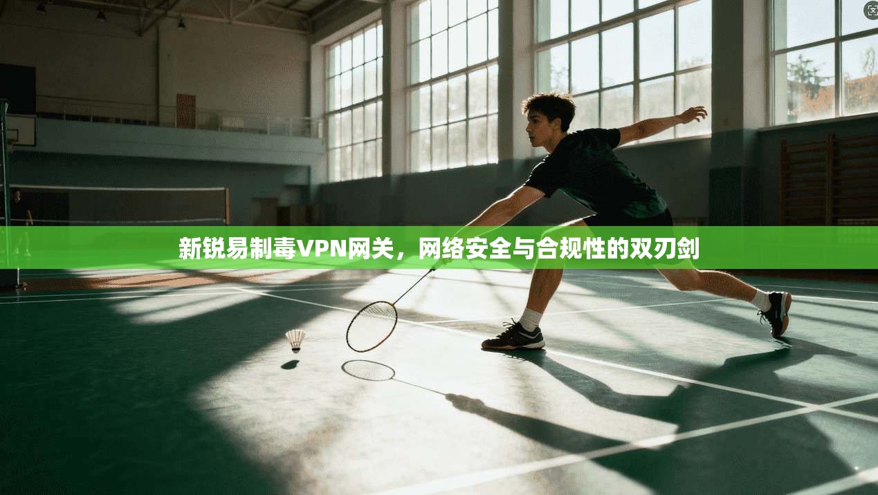 新锐易制毒VPN网关，网络安全与合规性的双刃剑