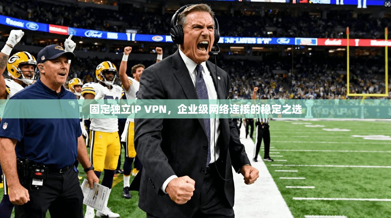 固定独立IP VPN，企业级网络连接的稳定之选