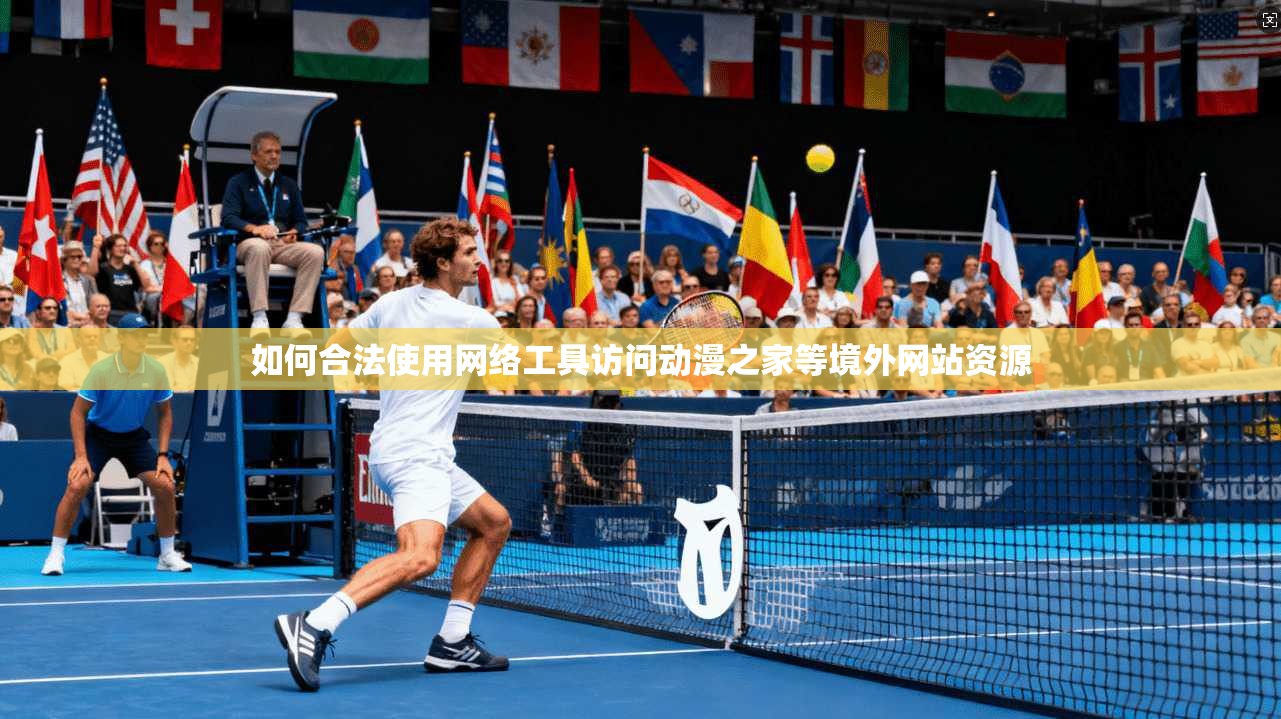 如何合法使用网络工具访问动漫之家等境外网站资源