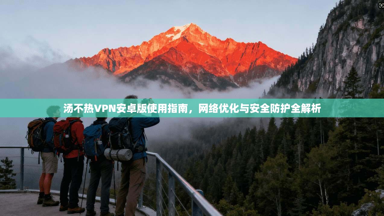 汤不热VPN安卓版使用指南，网络优化与安全防护全解析