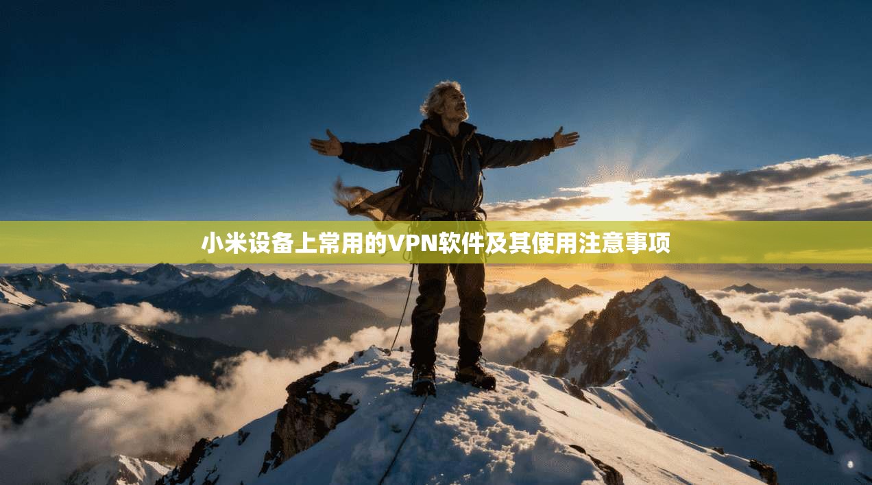 小米设备上常用的VPN软件及其使用注意事项