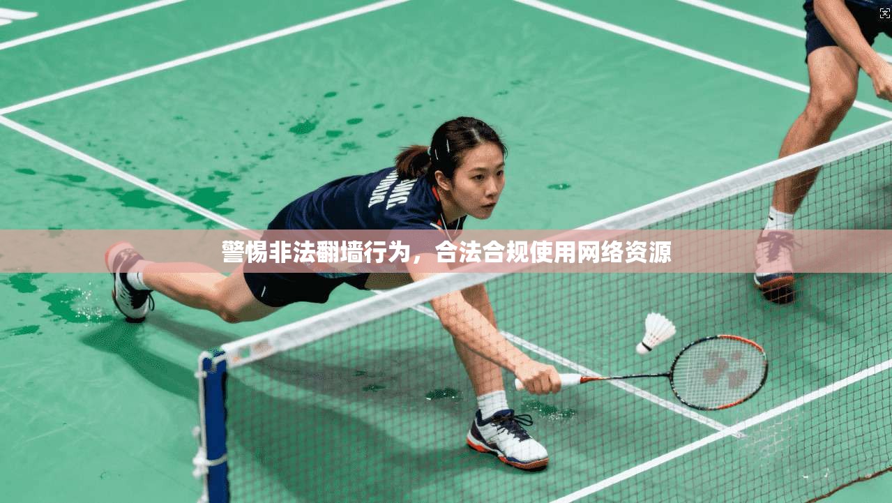 警惕非法翻墙行为，合法合规使用网络资源