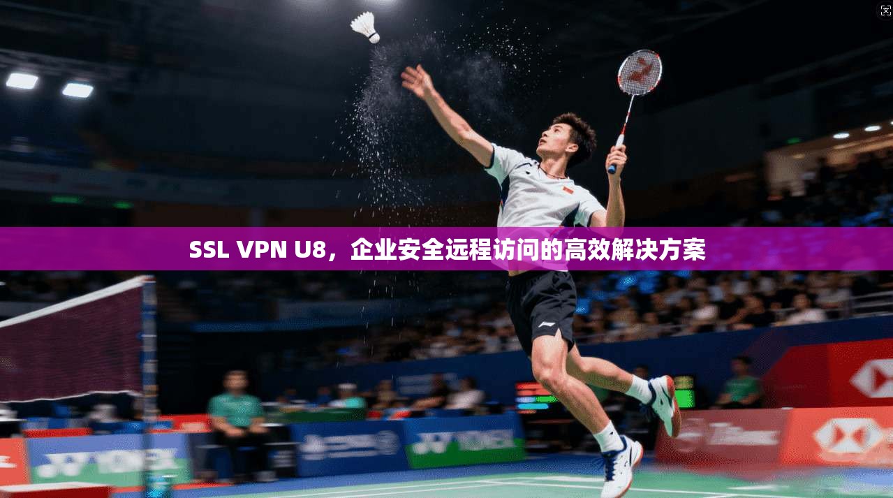 SSL VPN U8，企业安全远程访问的高效解决方案