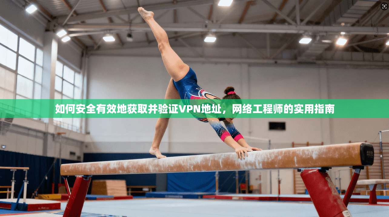 如何安全有效地获取并验证VPN地址，网络工程师的实用指南