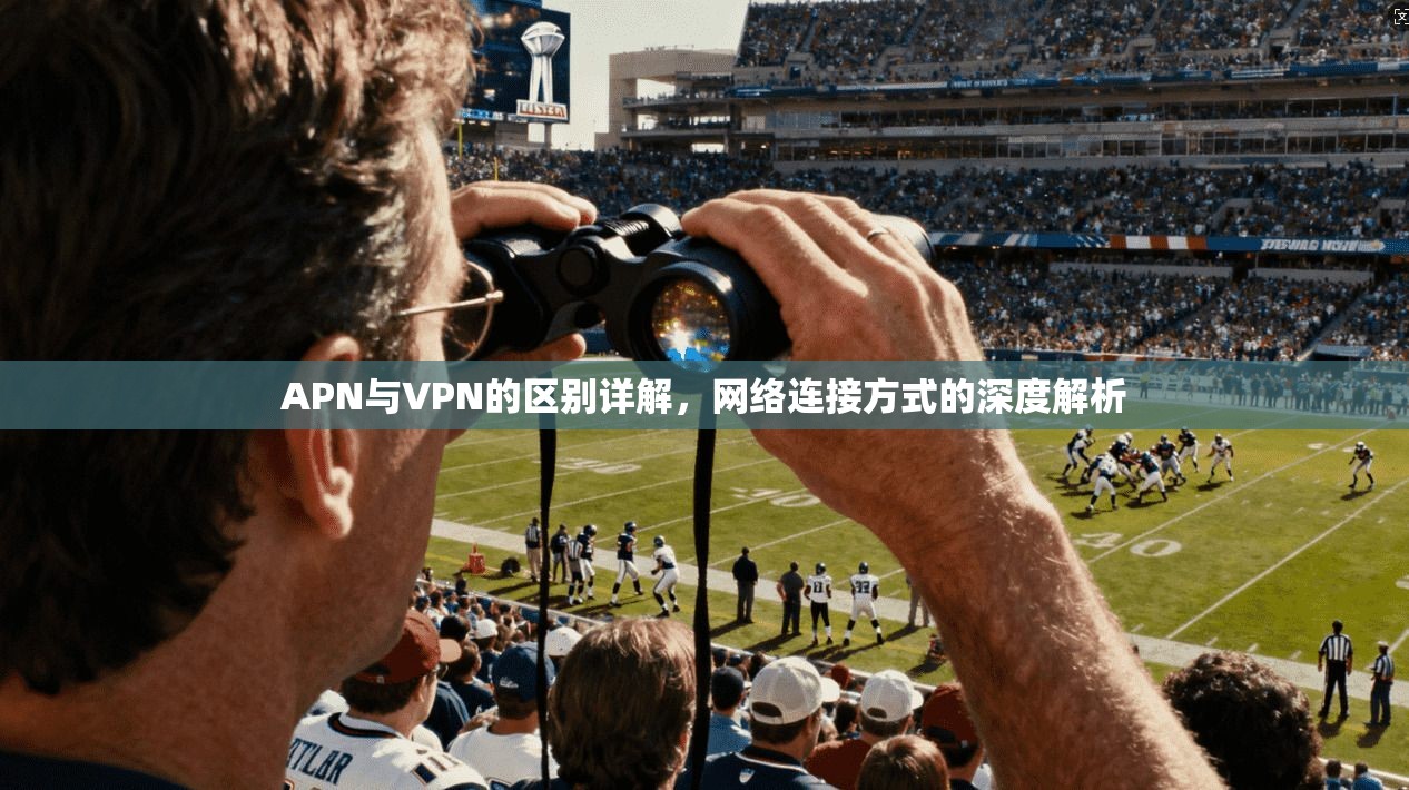 APN与VPN的区别详解，网络连接方式的深度解析