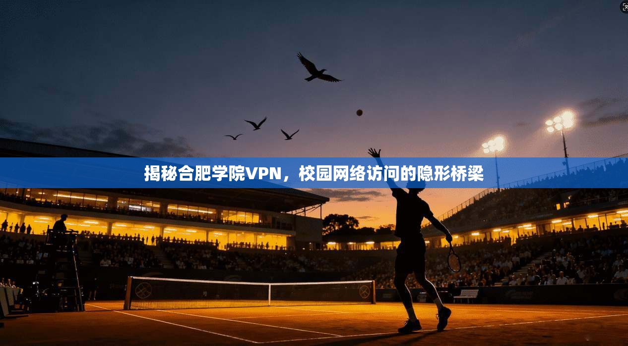 揭秘合肥学院VPN，校园网络访问的隐形桥梁