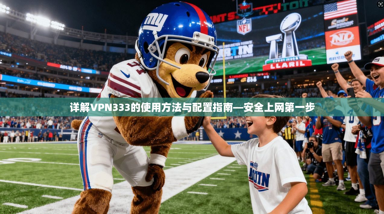 详解VPN333的使用方法与配置指南—安全上网第一步