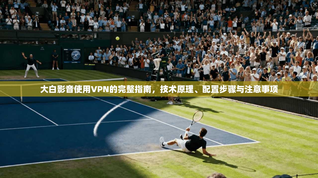 大白影音使用VPN的完整指南，技术原理、配置步骤与注意事项