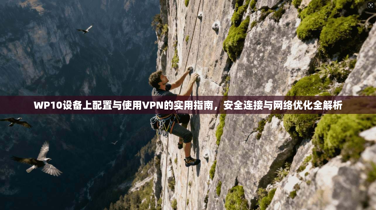 WP10设备上配置与使用VPN的实用指南，安全连接与网络优化全解析