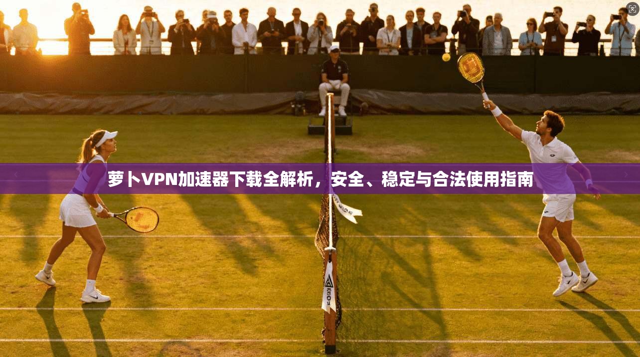 萝卜VPN加速器下载全解析，安全、稳定与合法使用指南