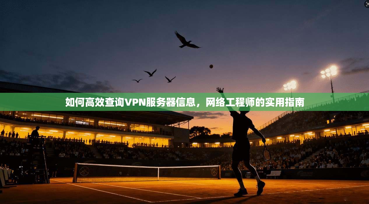 如何高效查询VPN服务器信息,网络工程师的实用指南 如何高效查询VPN服务器信息,网络工程师的实用指南