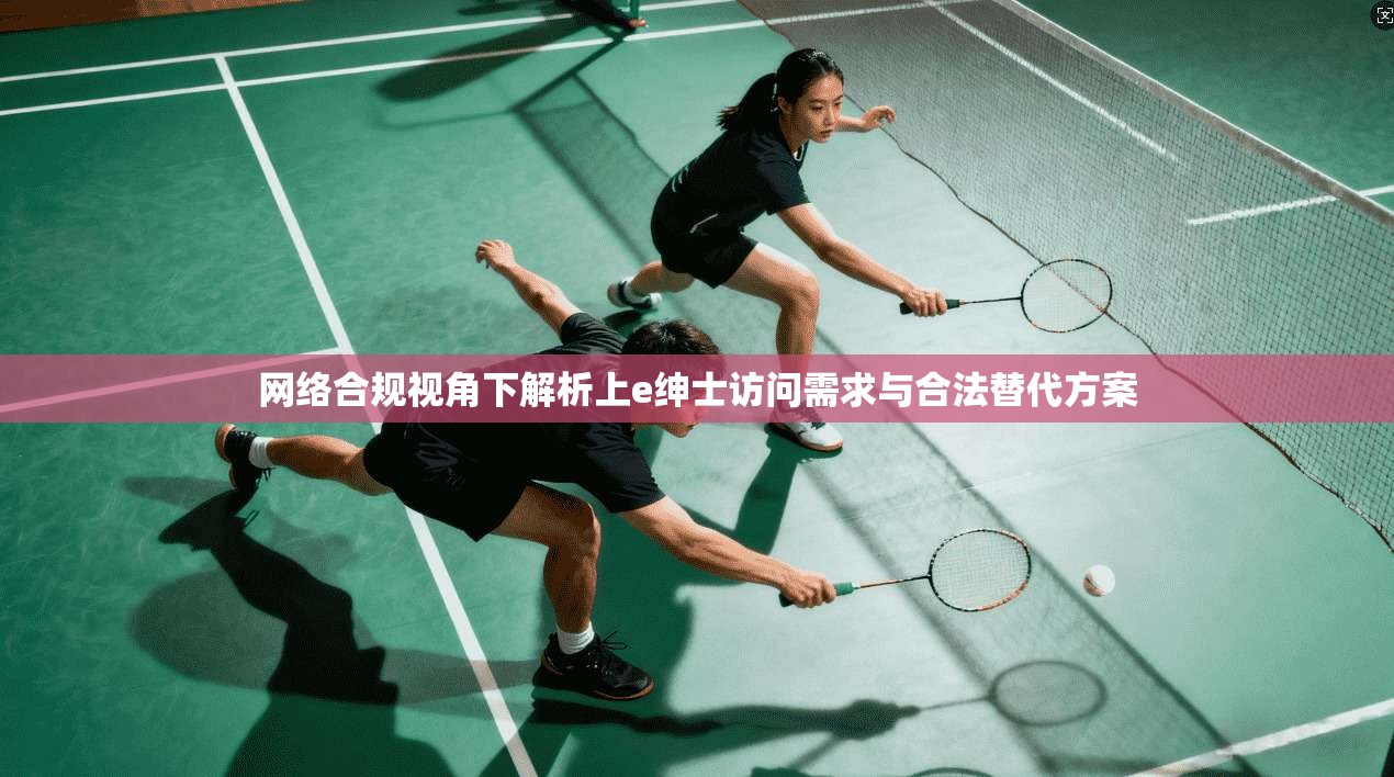 网络合规视角下解析上e绅士访问需求与合法替代方案