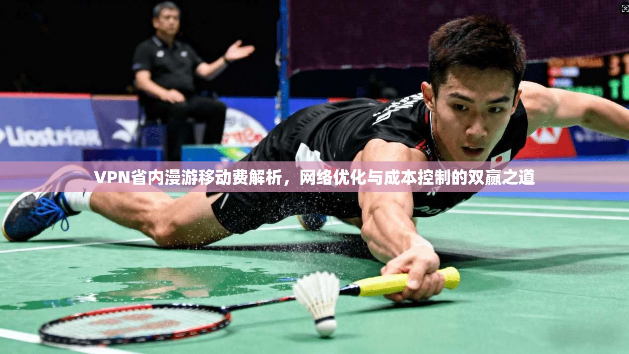 VPN省内漫游移动费解析，网络优化与成本控制的双赢之道
