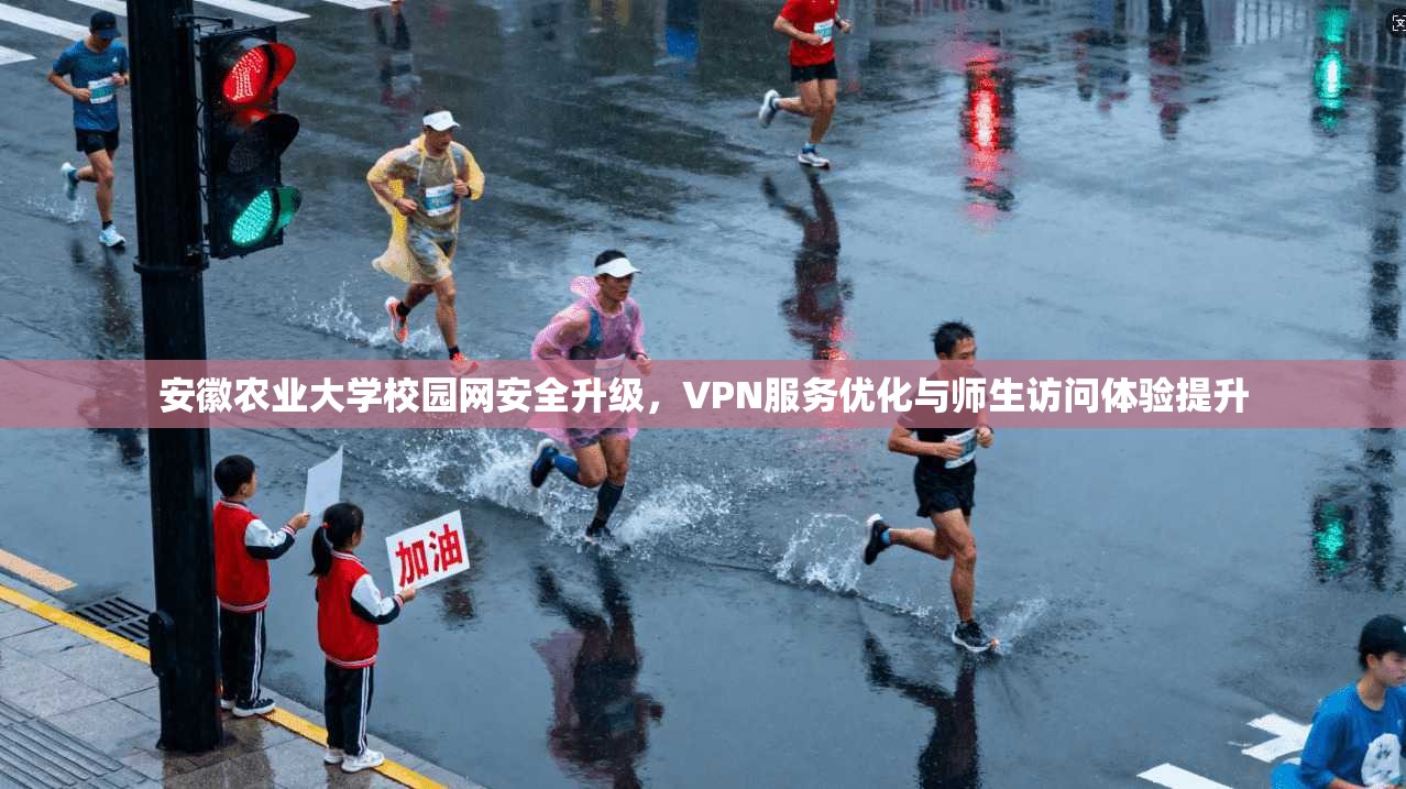 安徽农业大学校园网安全升级，VPN服务优化与师生访问体验提升