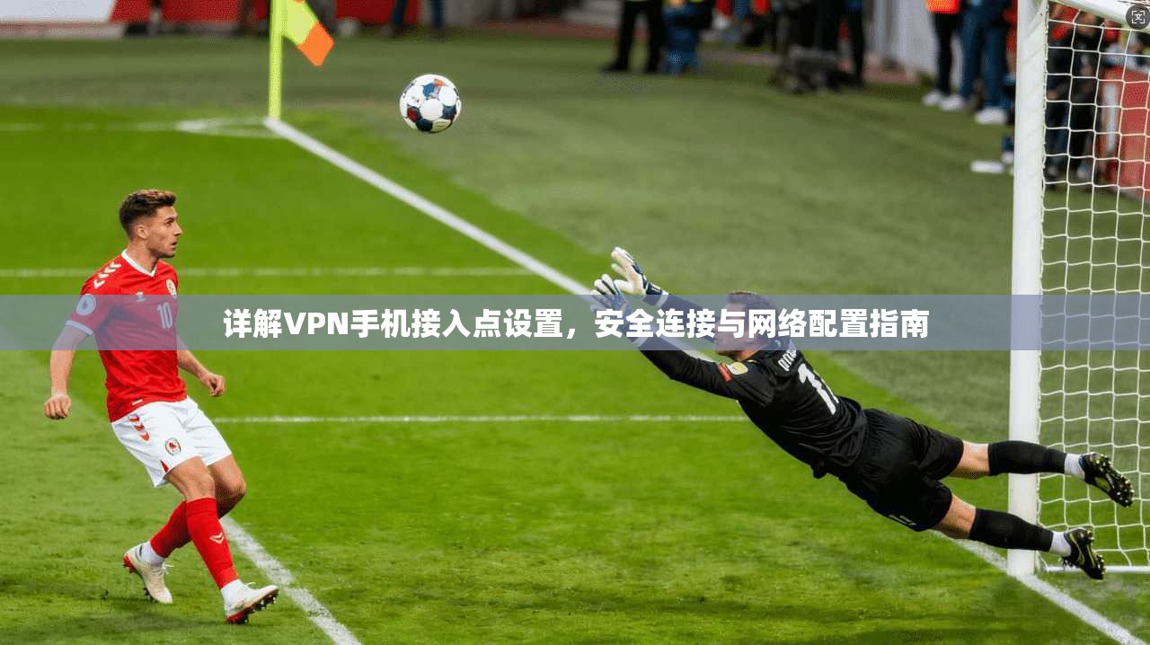 详解VPN手机接入点设置，安全连接与网络配置指南