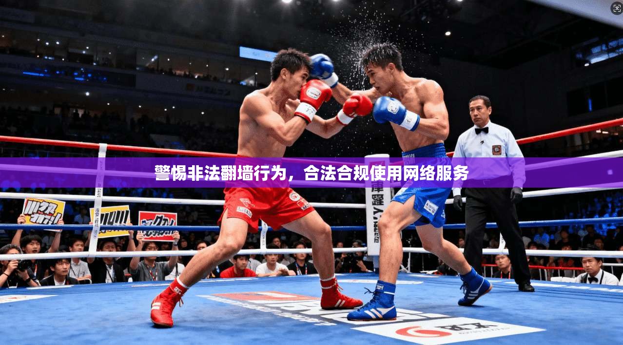 警惕非法翻墙行为，合法合规使用网络服务