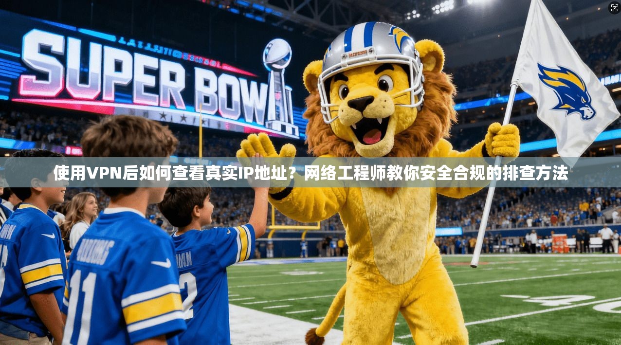 使用VPN后如何查看真实IP地址？网络工程师教你安全合规的排查方法
