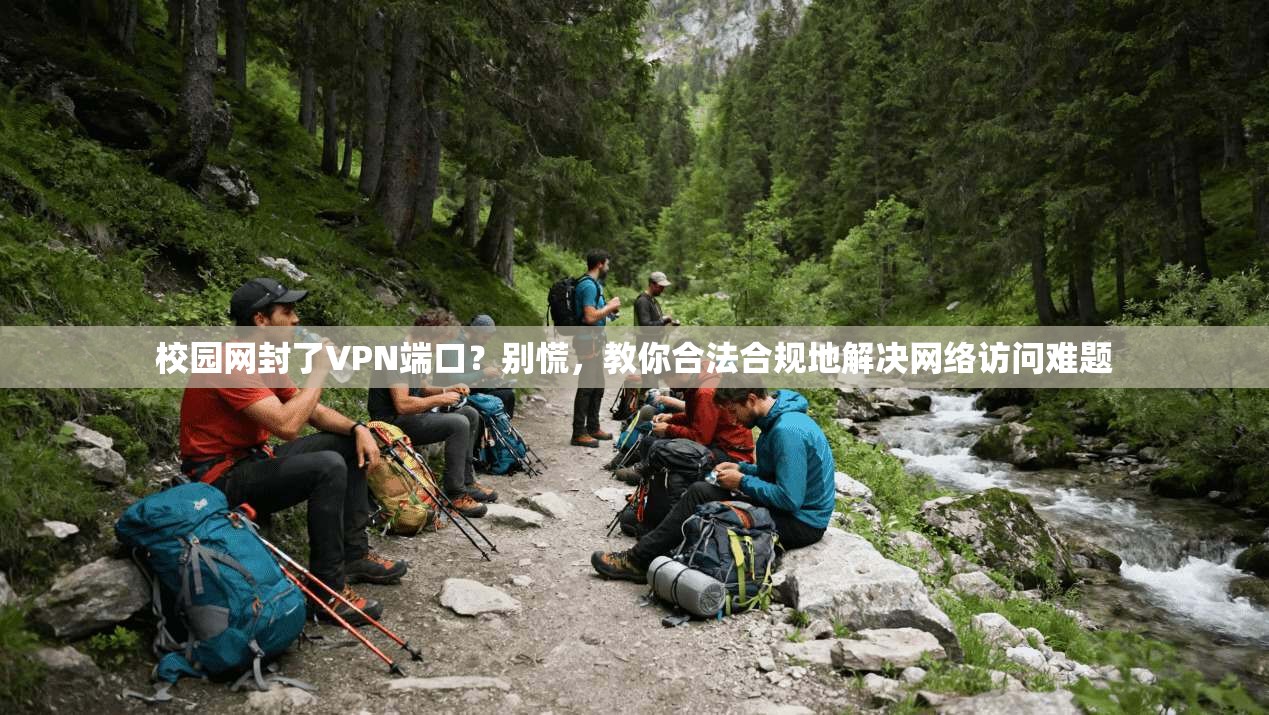 校园网封了VPN端口？别慌，教你合法合规地解决网络访问难题