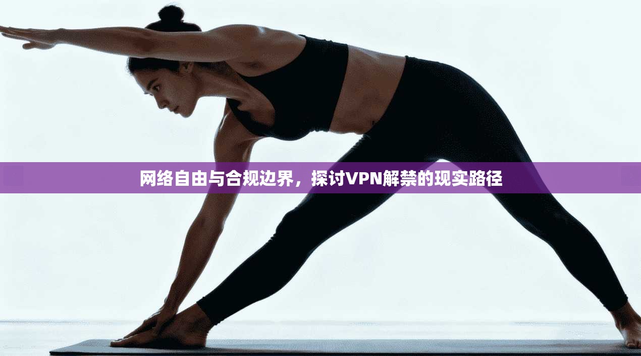 网络自由与合规边界，探讨VPN解禁的现实路径