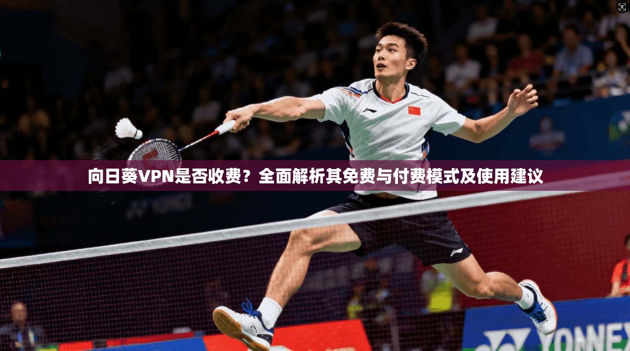 向日葵VPN是否收费？全面解析其免费与付费模式及使用建议