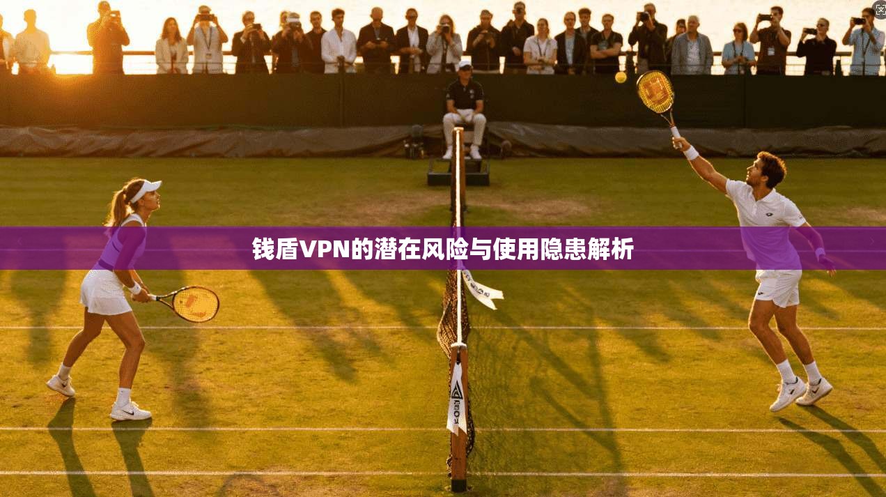 钱盾VPN的潜在风险与使用隐患解析
