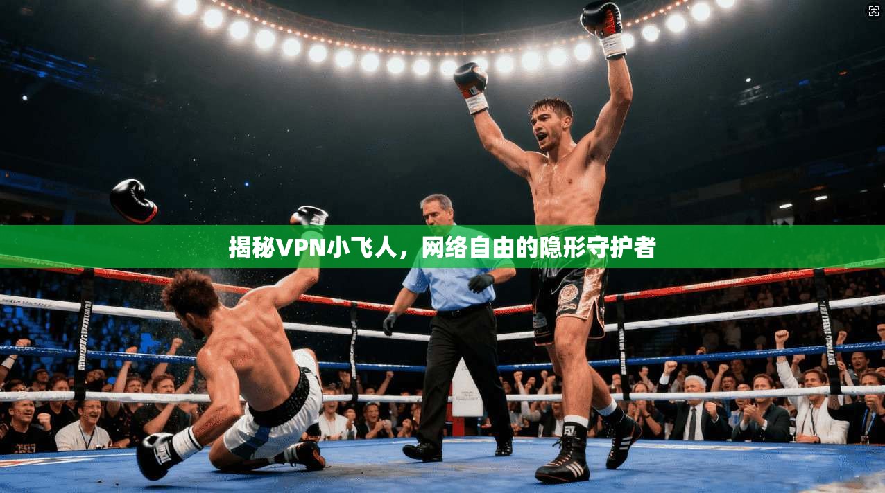 揭秘VPN小飞人，网络自由的隐形守护者
