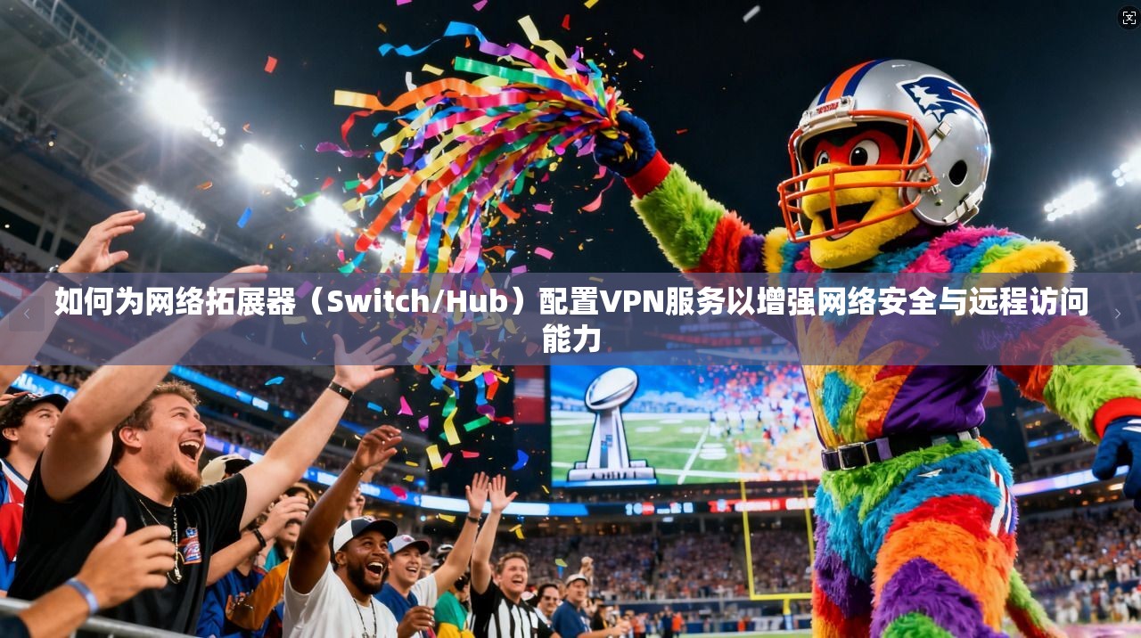 如何为网络拓展器（Switch/Hub）配置VPN服务以增强网络安全与远程访问能力