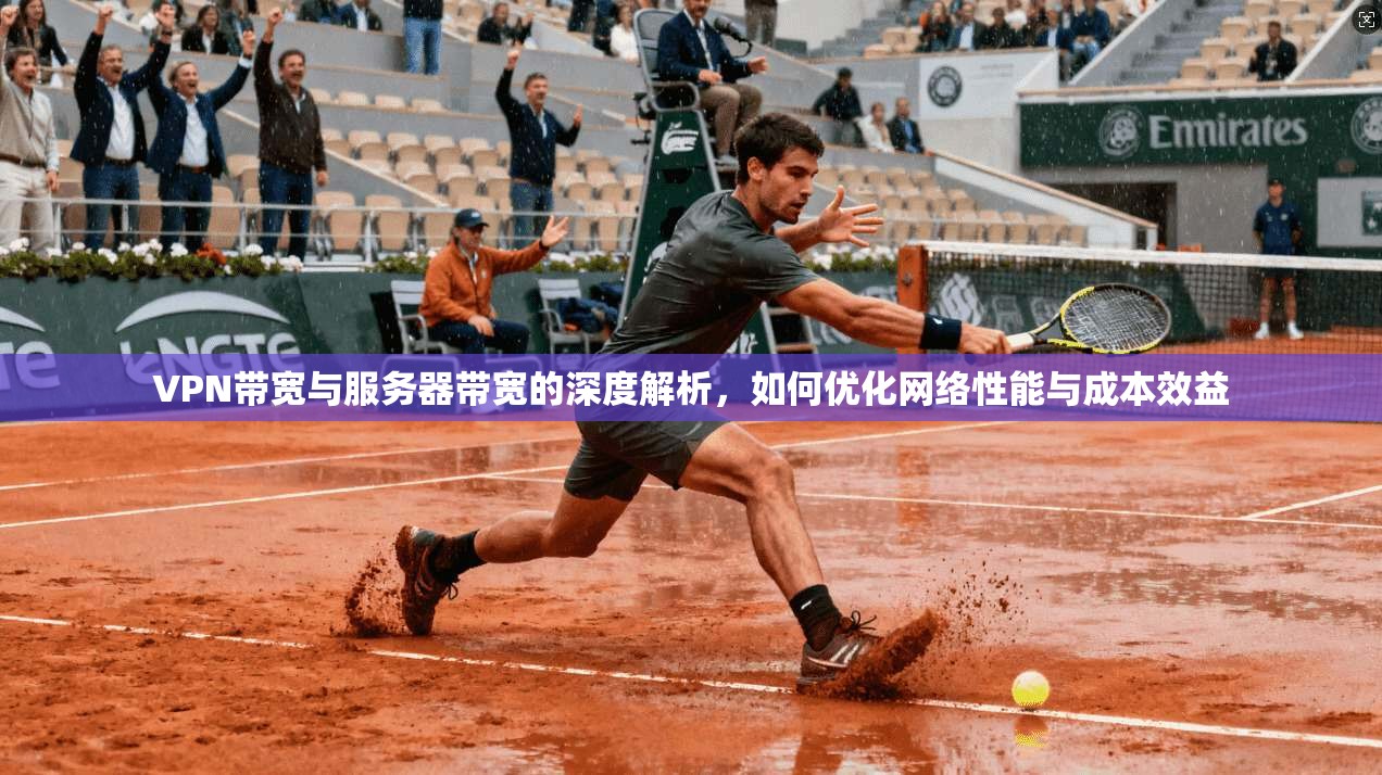 VPN带宽与服务器带宽的深度解析，如何优化网络性能与成本效益