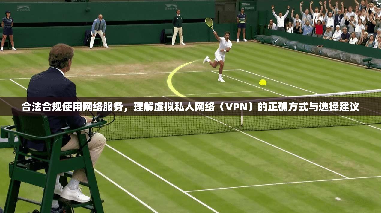 合法合规使用网络服务，理解虚拟私人网络（VPN）的正确方式与选择建议