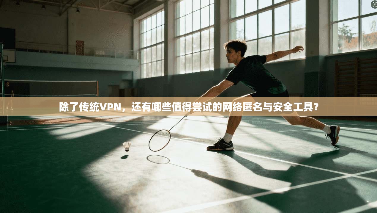 除了传统VPN,还有哪些值得尝试的网络匿名与安全工具?