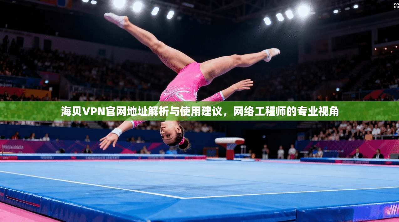 海贝VPN官网地址解析与使用建议，网络工程师的专业视角