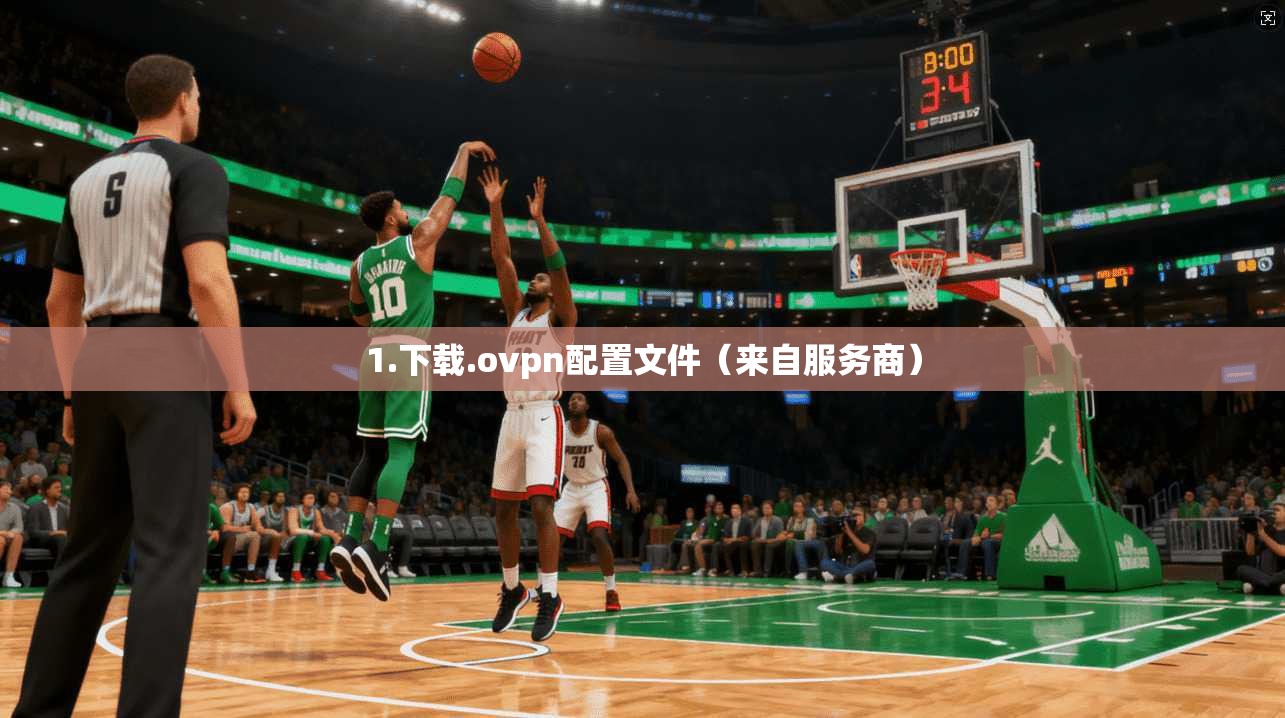 1.下载.ovpn配置文件（来自服务商）