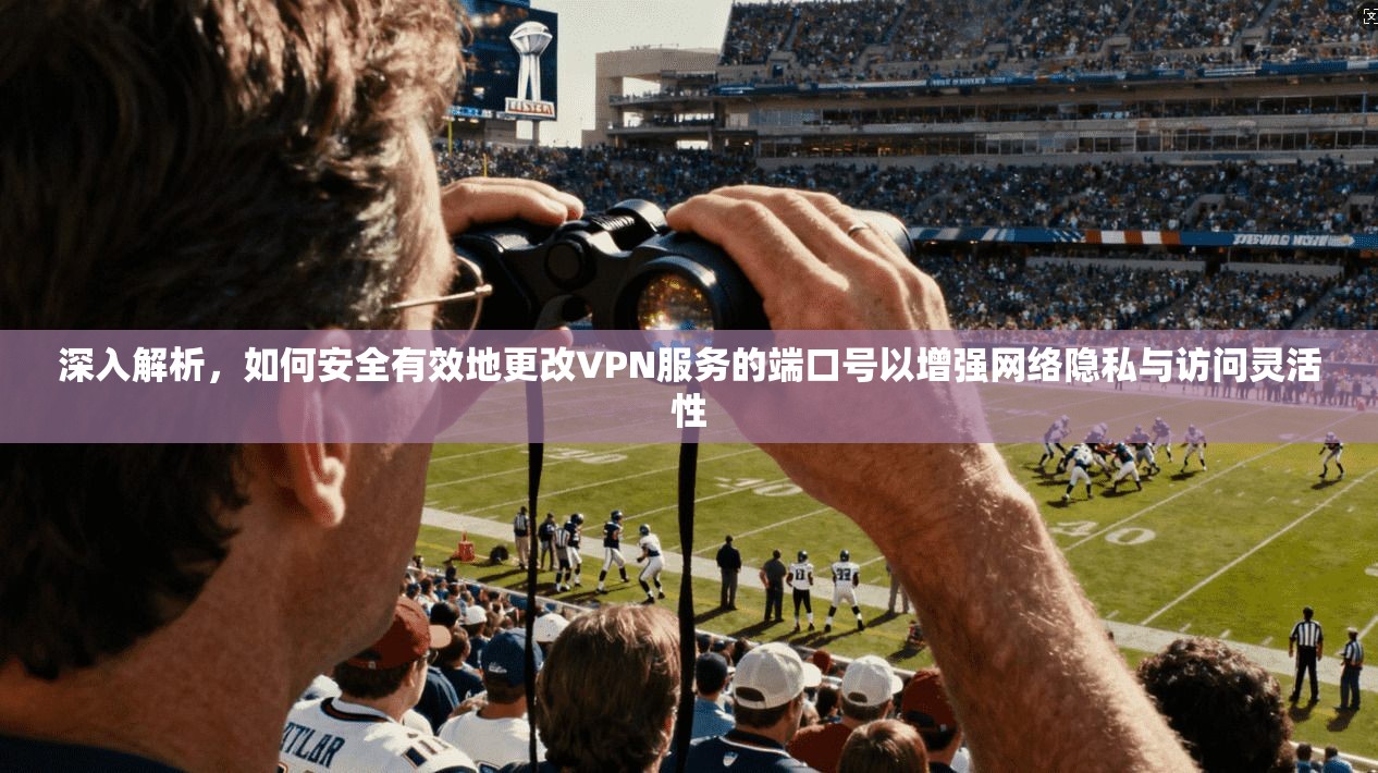 深入解析，如何安全有效地更改VPN服务的端口号以增强网络隐私与访问灵活性